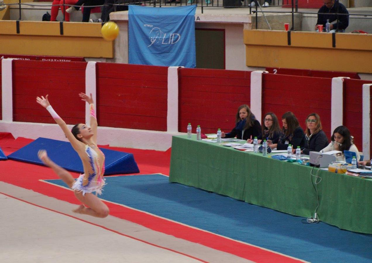 Campeonato Escolar de Gimnasia Rítmica de Castilla y León 2014 celebrado en Íscar (3/3)