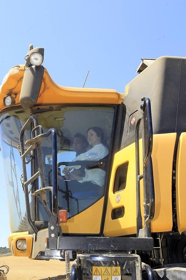 Silvia Clemente presenta los datos de estimación de la cosecha de cereales en Villamuriel de Cerrato (Palencia)