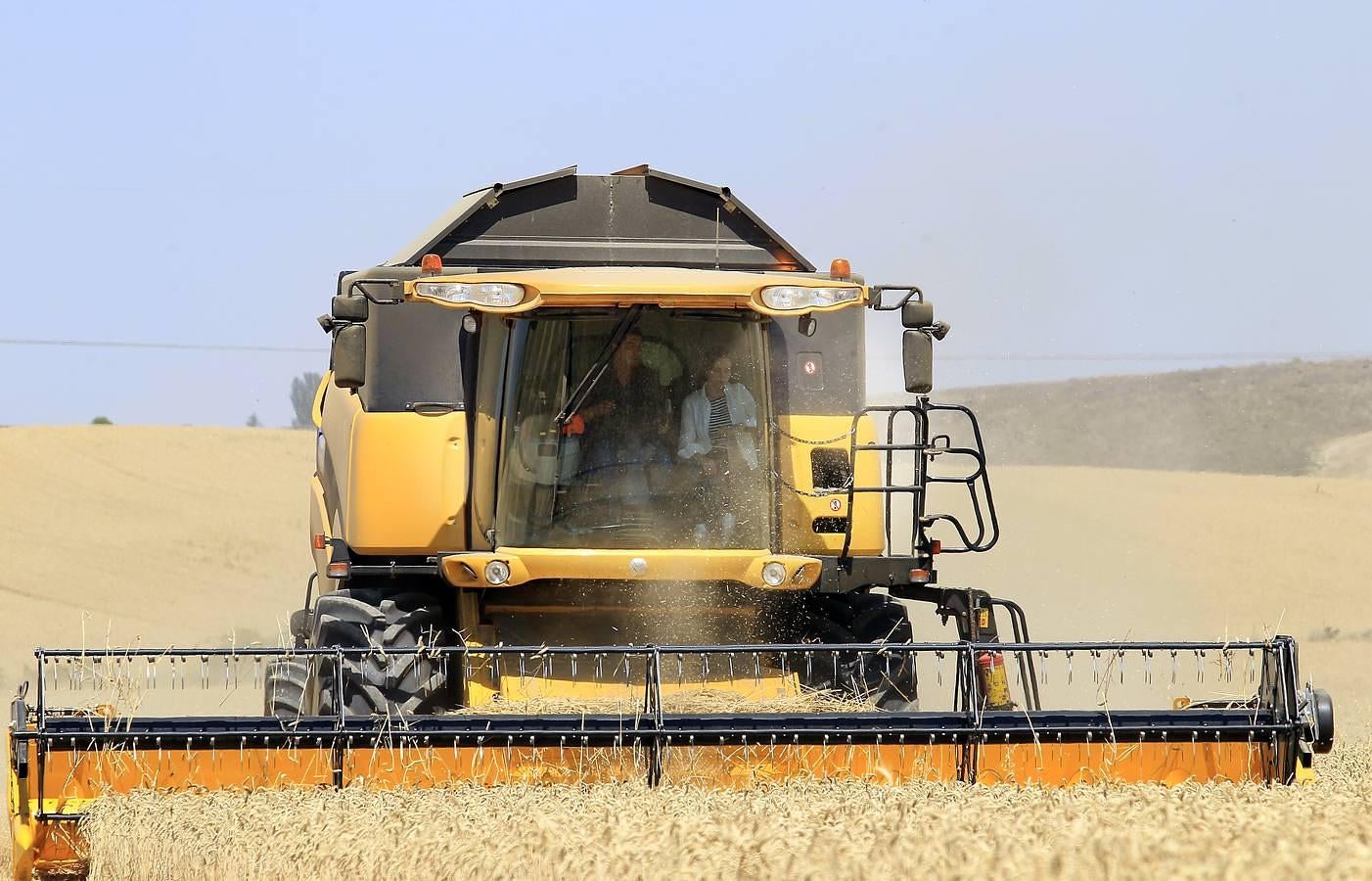 Silvia Clemente presenta los datos de estimación de la cosecha de cereales en Villamuriel de Cerrato (Palencia)