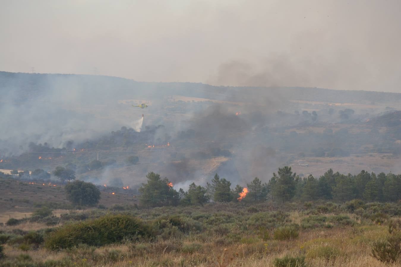 Labores de extinción del incendio forestal declarado en la provincia de Salamanca, cerca de Ciudad Rodrigo