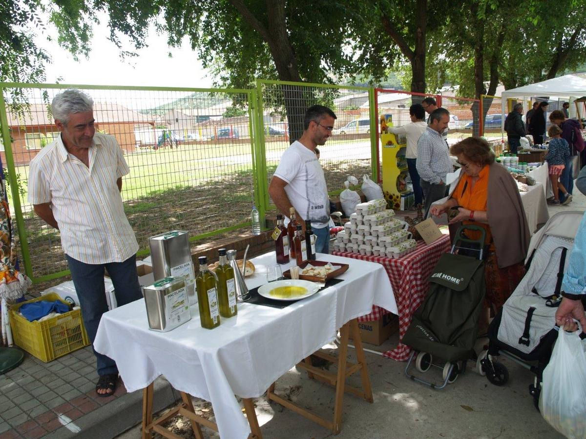 VI Jornadas Campesinas de Megeces