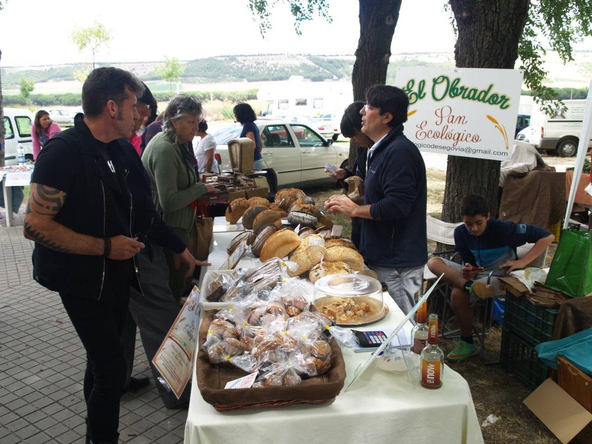 VI Jornadas Campesinas de Megeces