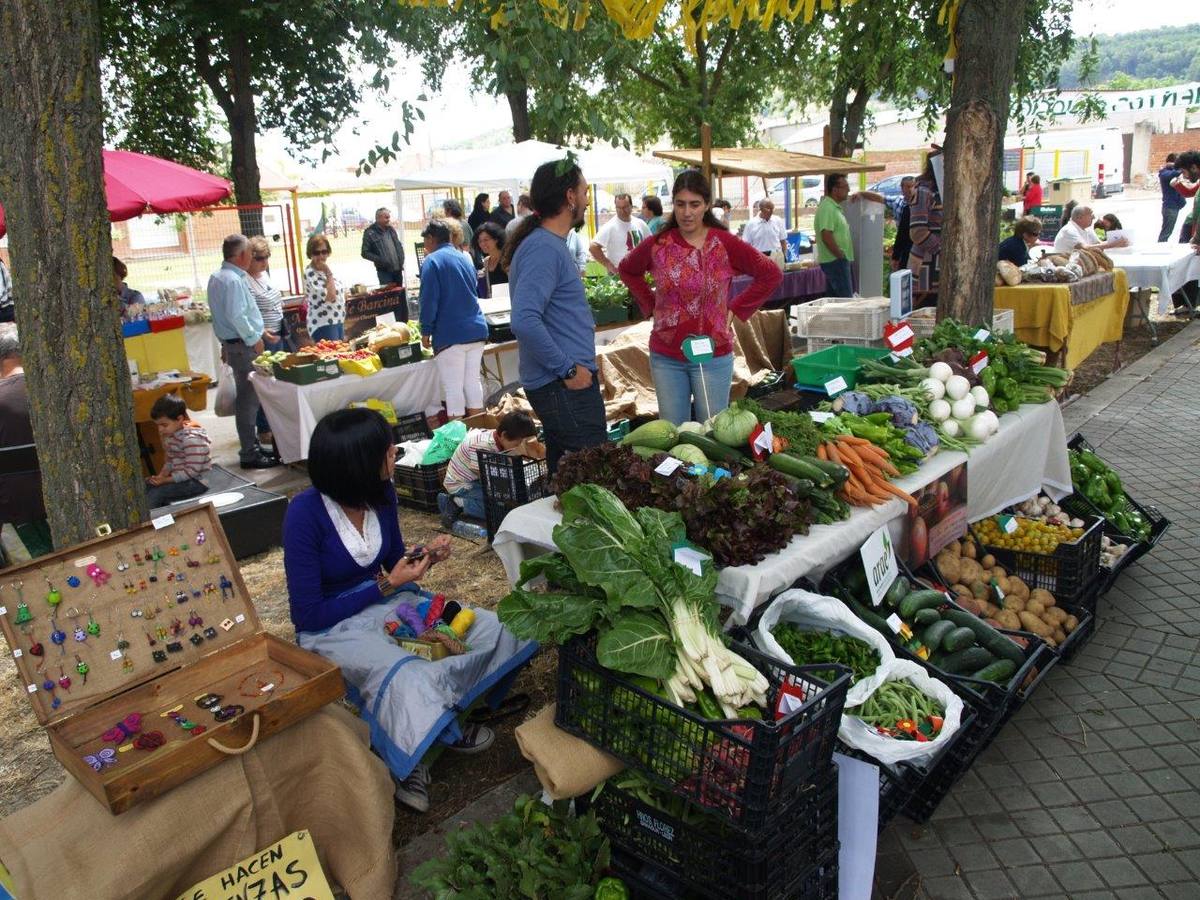 VI Jornadas Campesinas de Megeces