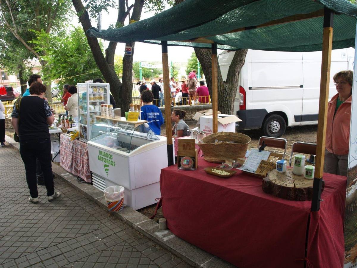 VI Jornadas Campesinas de Megeces