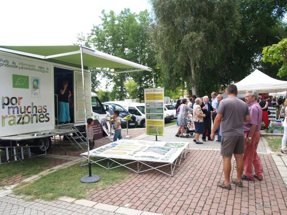 VI Jornadas Campesinas de Megeces