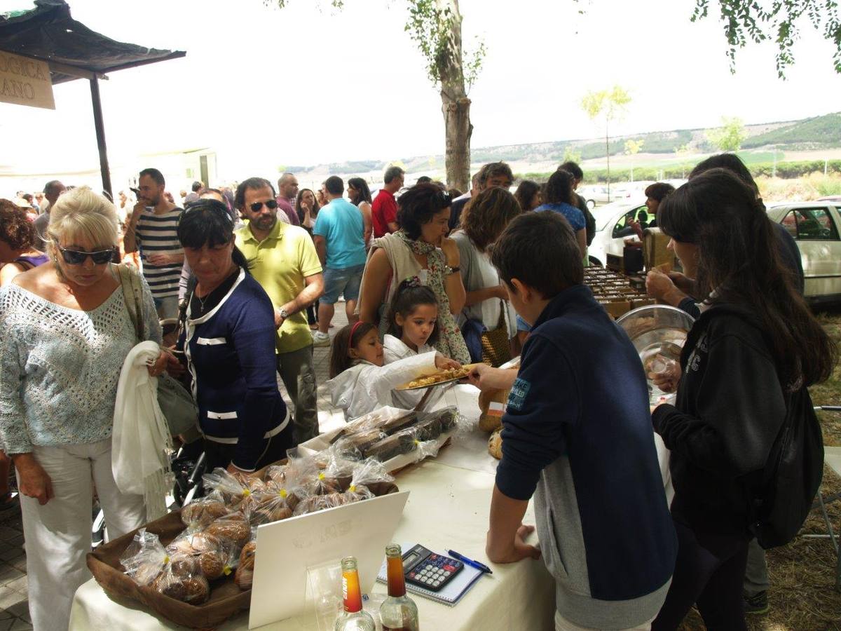 VI Jornadas Campesinas de Megeces