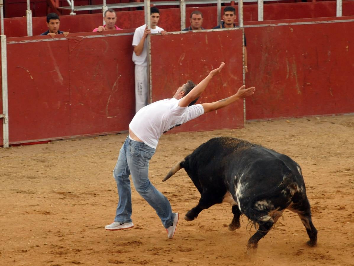 Concurso de cortes de Matapozuelos