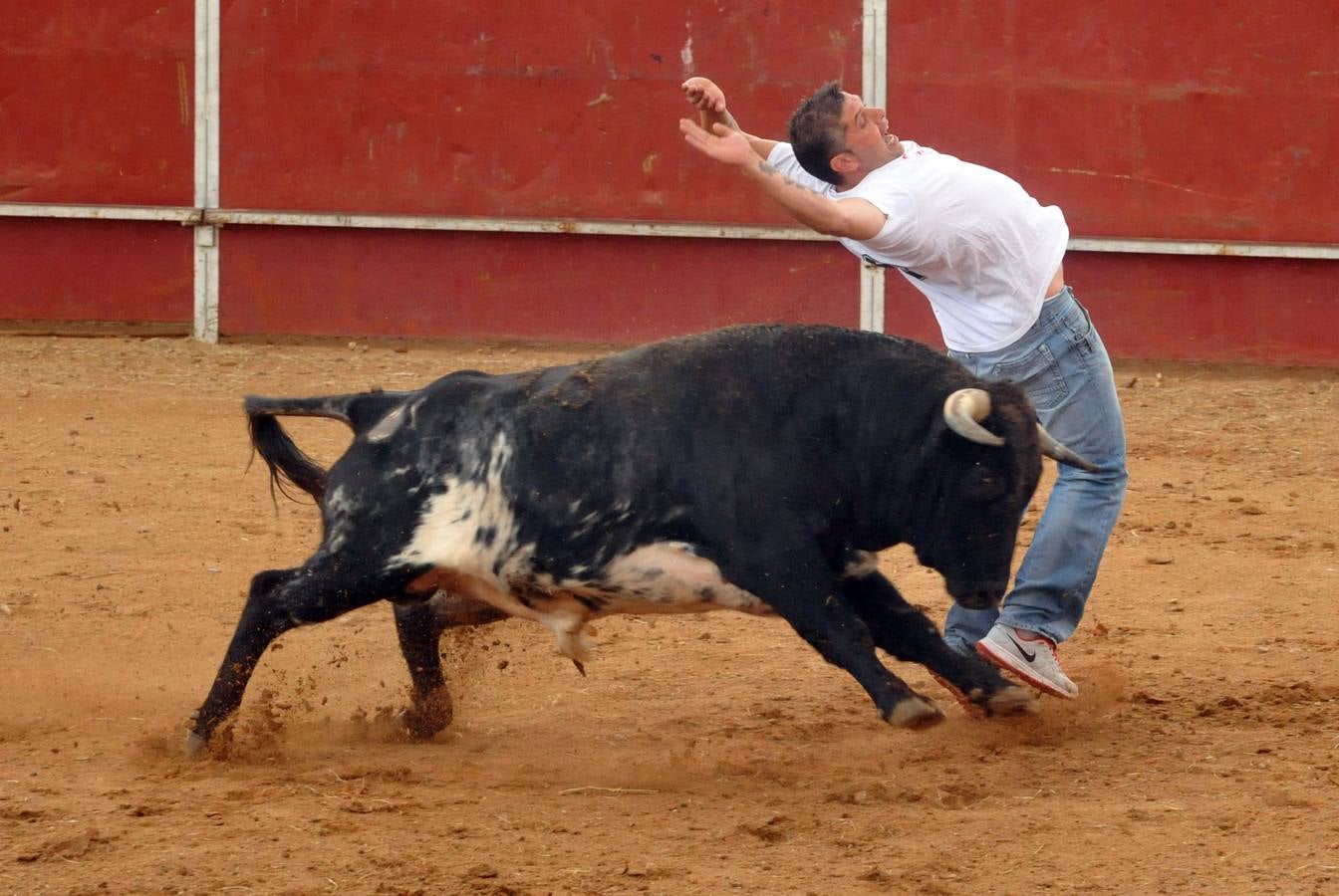 Concurso de cortes de Matapozuelos