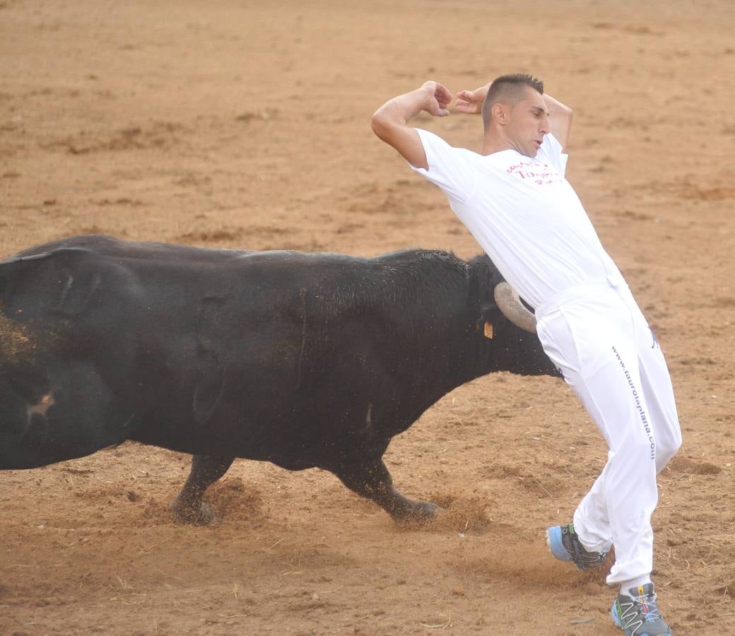 Concurso de cortes de Matapozuelos