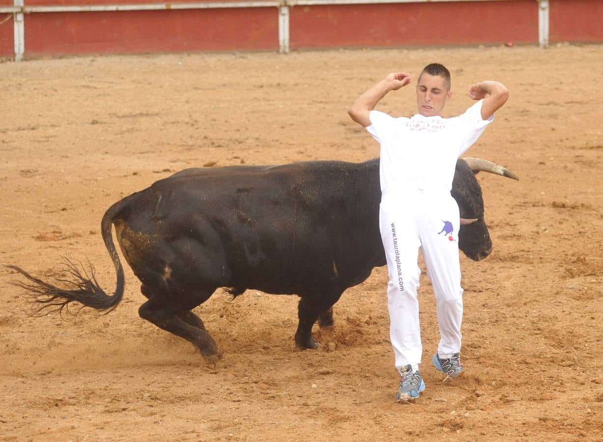Concurso de cortes de Matapozuelos