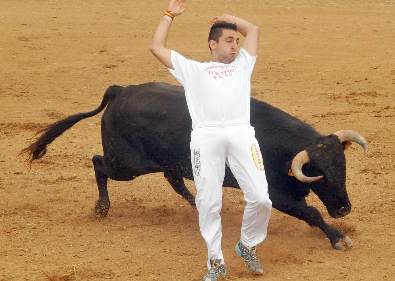 Concurso de cortes de Matapozuelos