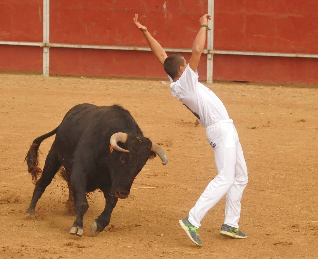 Concurso de cortes de Matapozuelos
