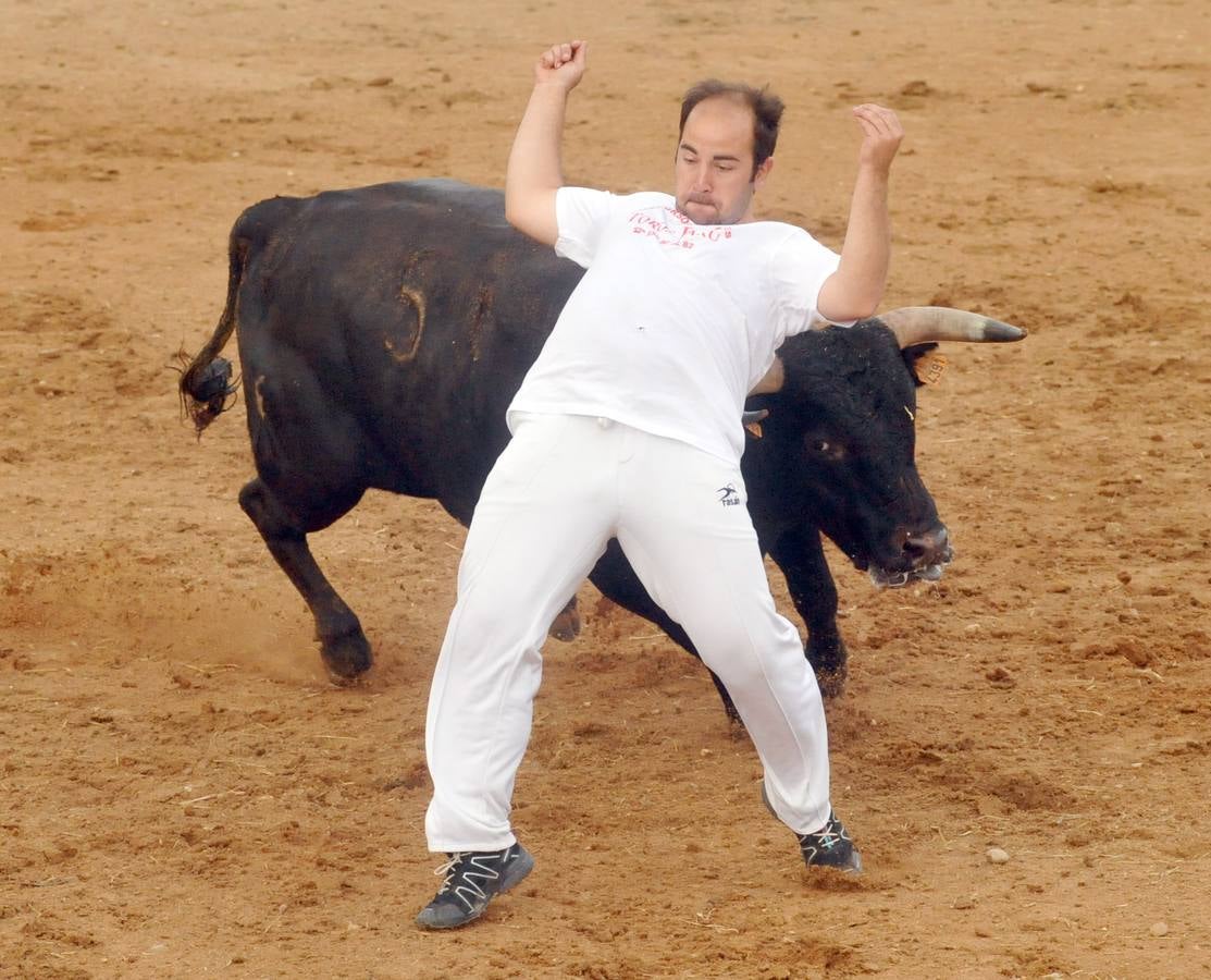 Concurso de cortes de Matapozuelos