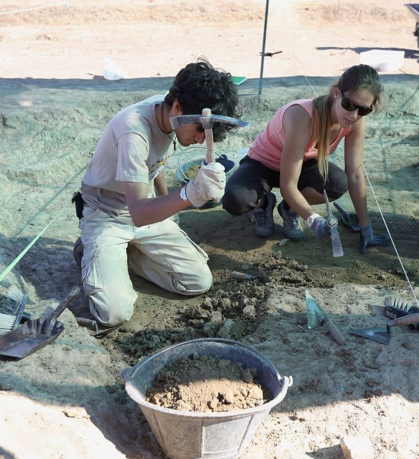 XI Curso de Arqueología de Matallana