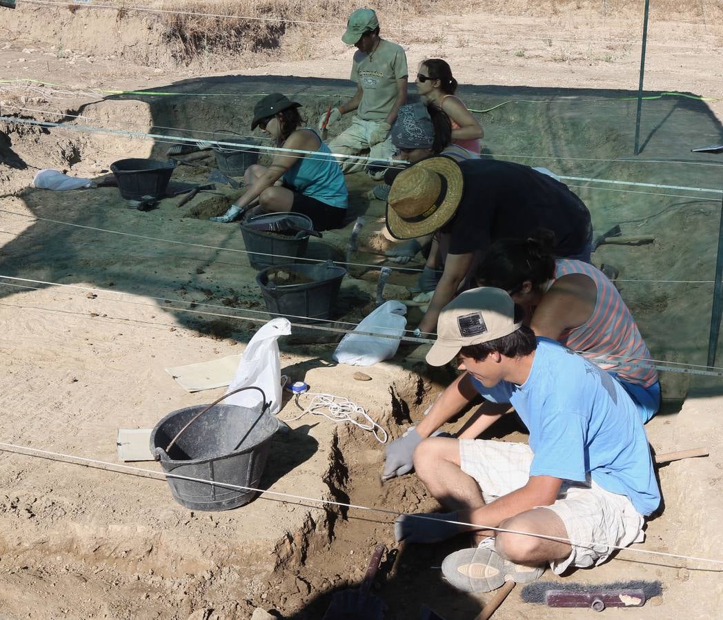 XI Curso de Arqueología de Matallana