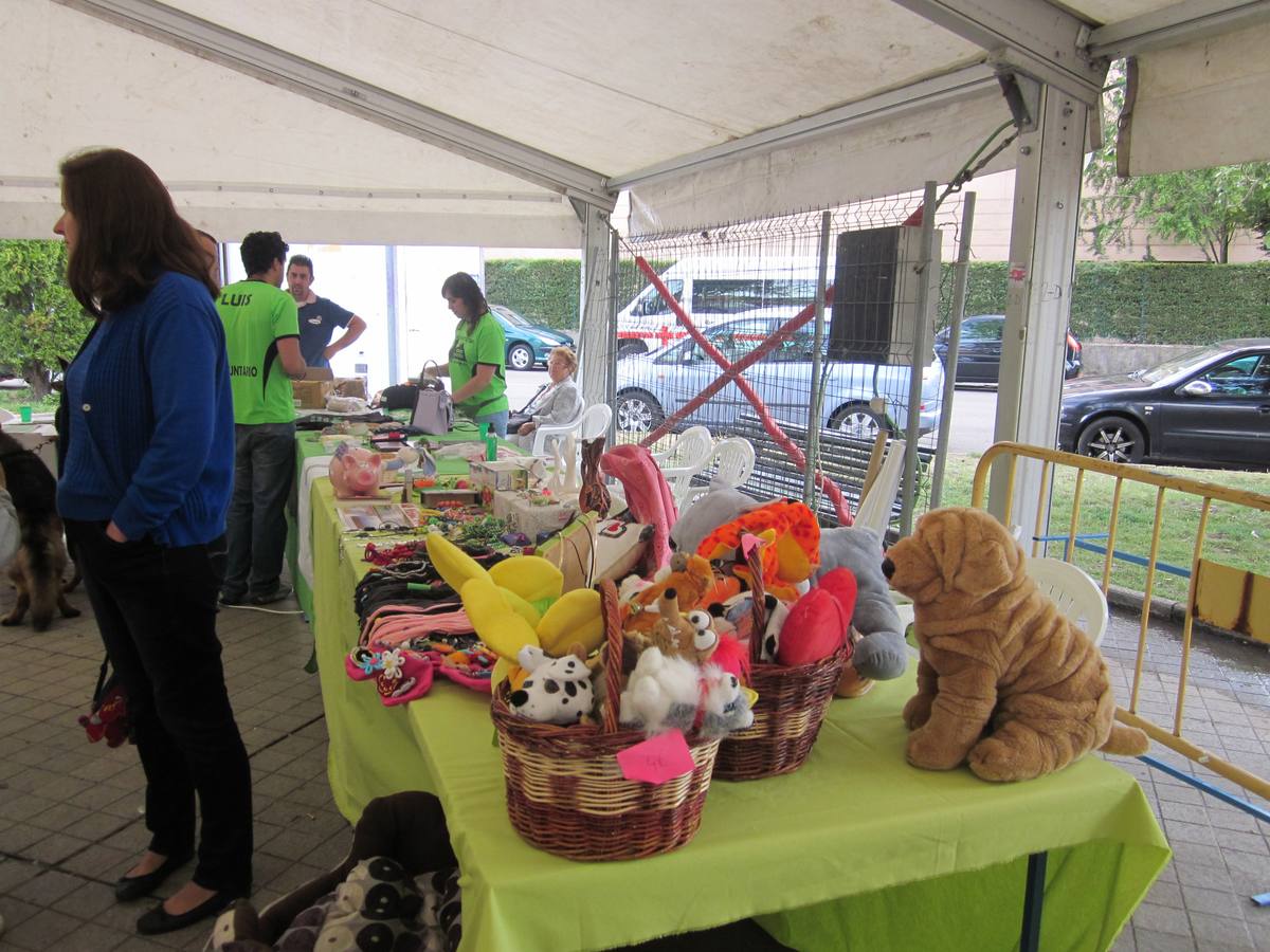 Jornada de convivencia organizada por la Asociación Protectora Amigos de los Animales de Guardo (Palencia)