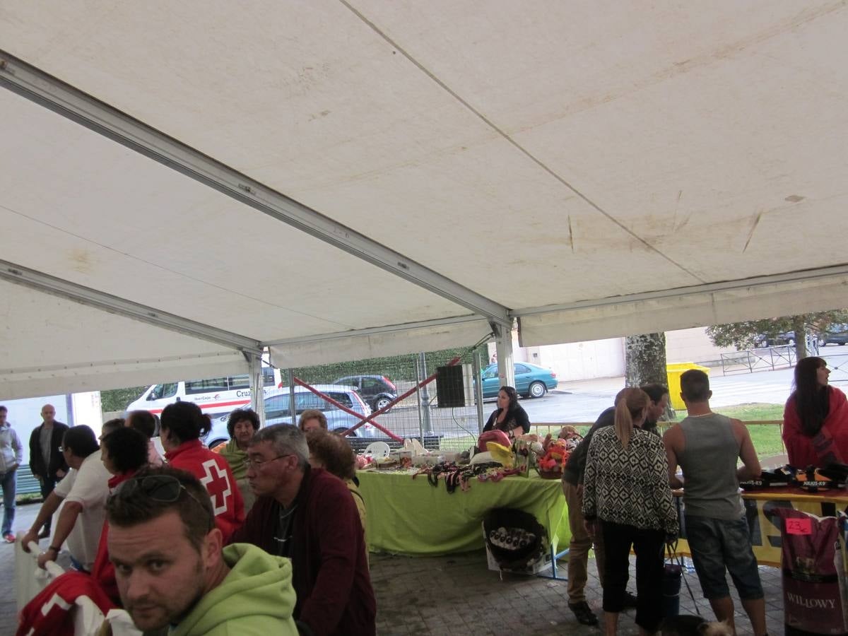 Jornada de convivencia organizada por la Asociación Protectora Amigos de los Animales de Guardo (Palencia)