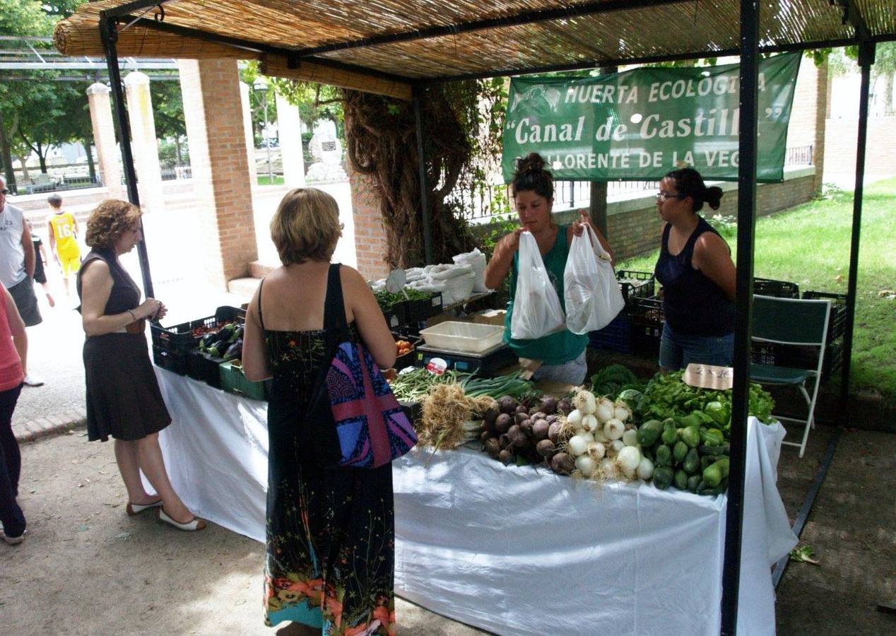 Feria de la Cerveza y Mercado Ecológico (2/2)