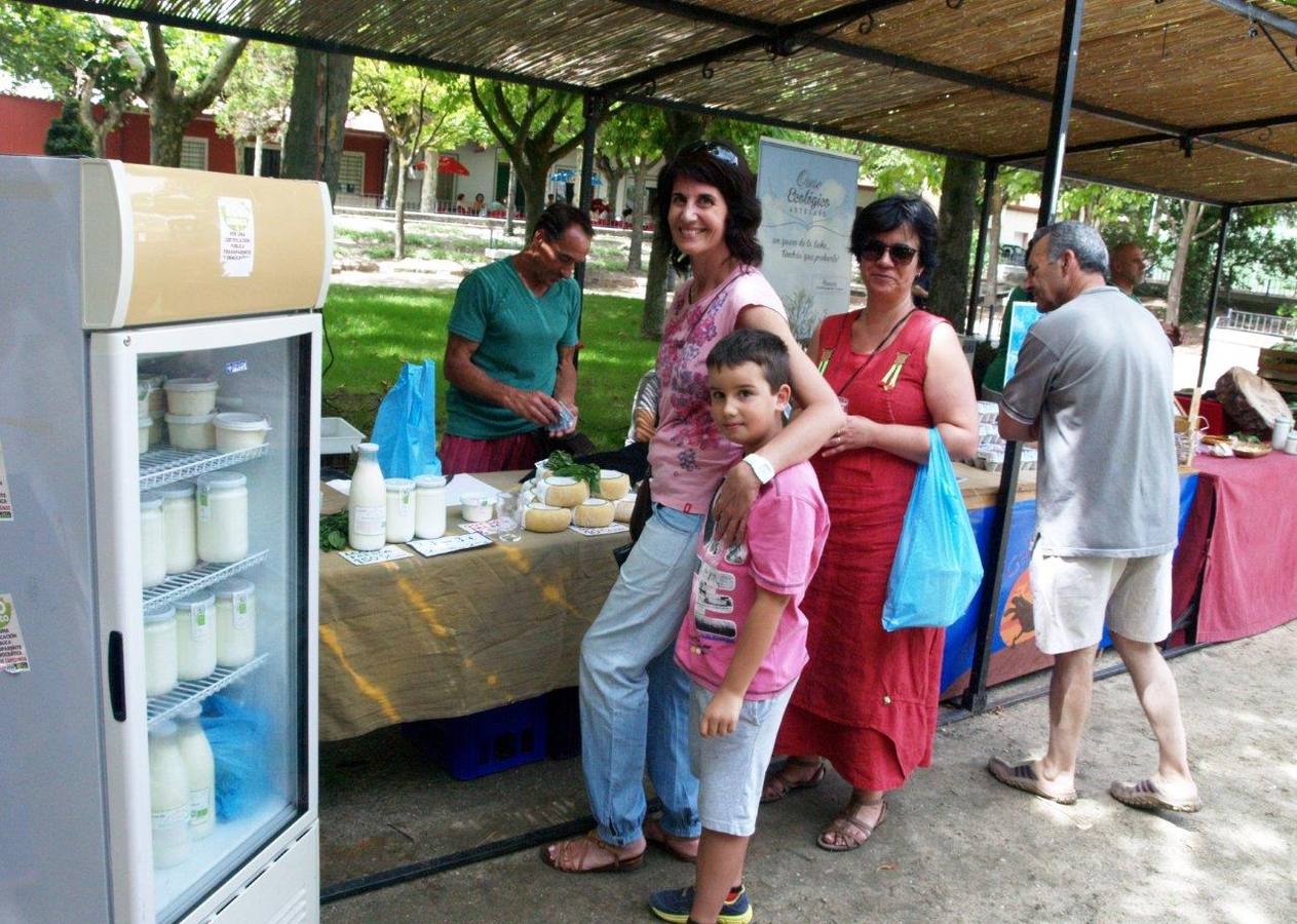 Feria de la Cerveza y Mercado Ecológico (2/2)