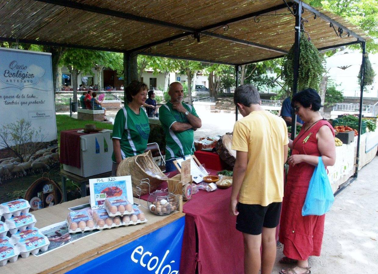 Feria de la Cerveza y Mercado Ecológico (2/2)