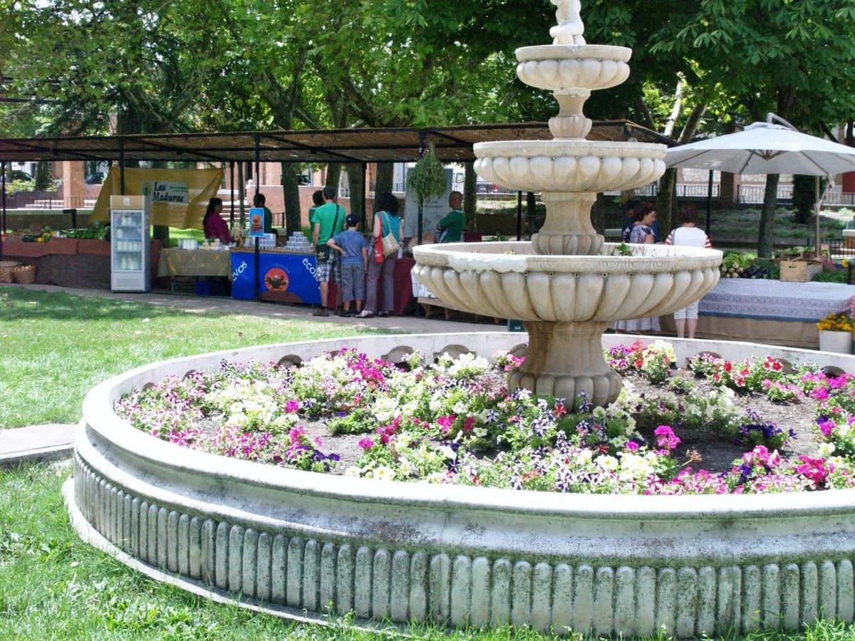 Feria de la Cerveza y Mercado Ecológico (2/2)