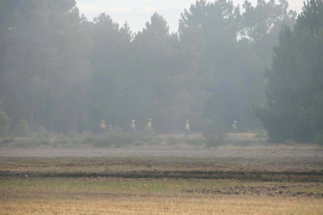 Incendio de Pinarejos