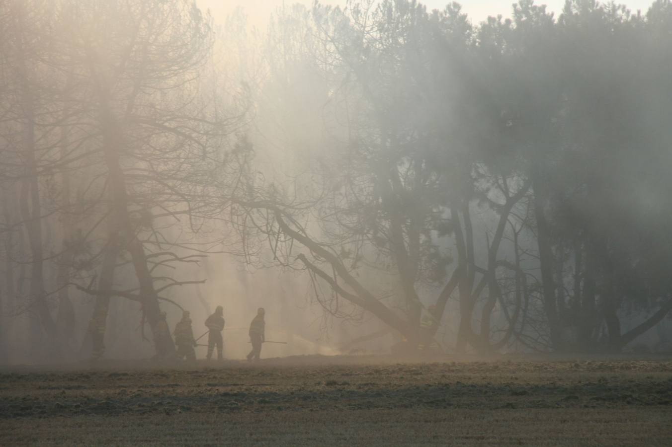 Incendio de Pinarejos