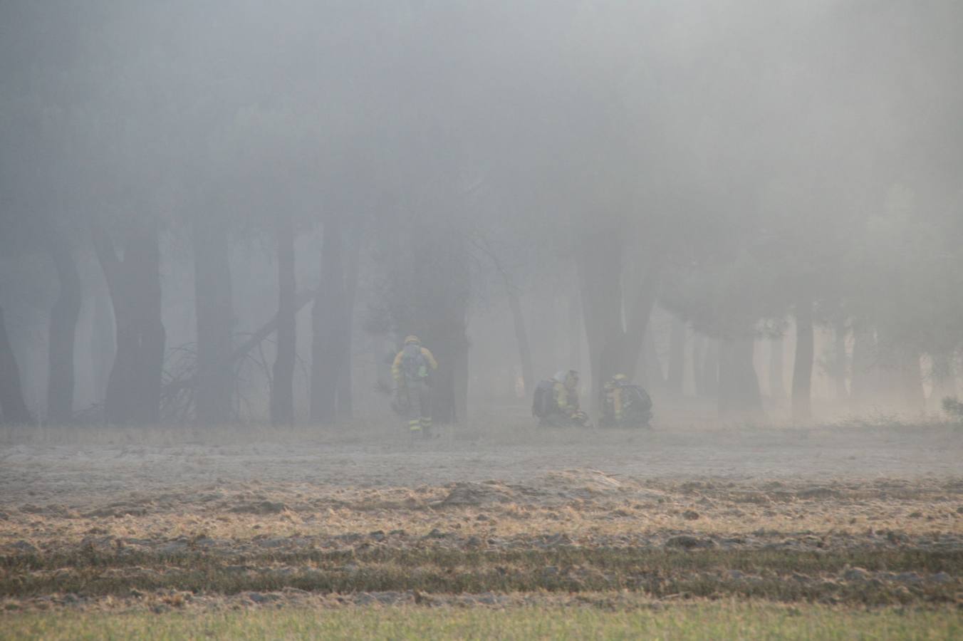 Incendio de Pinarejos