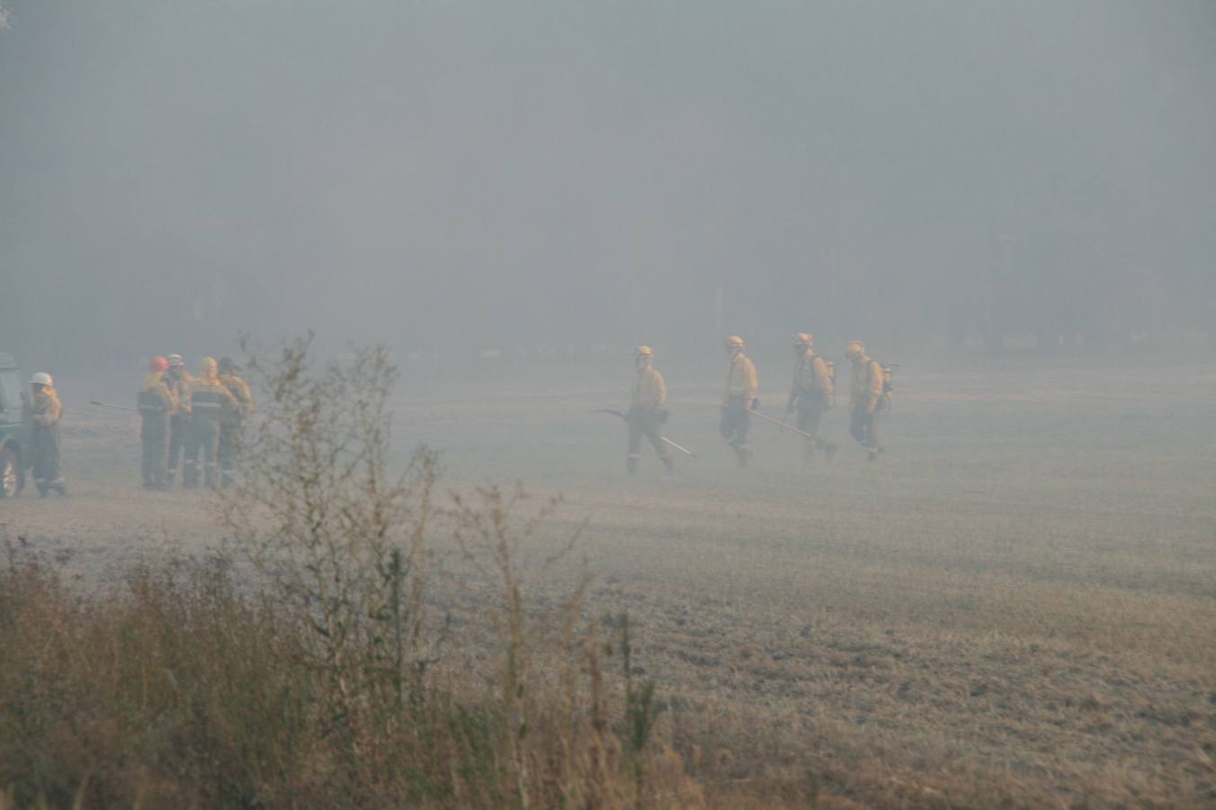 Incendio de Pinarejos