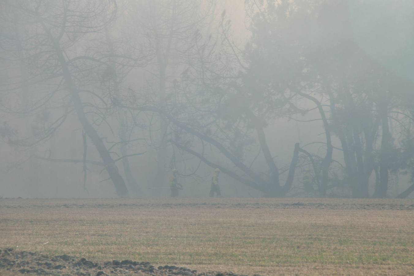 Incendio de Pinarejos