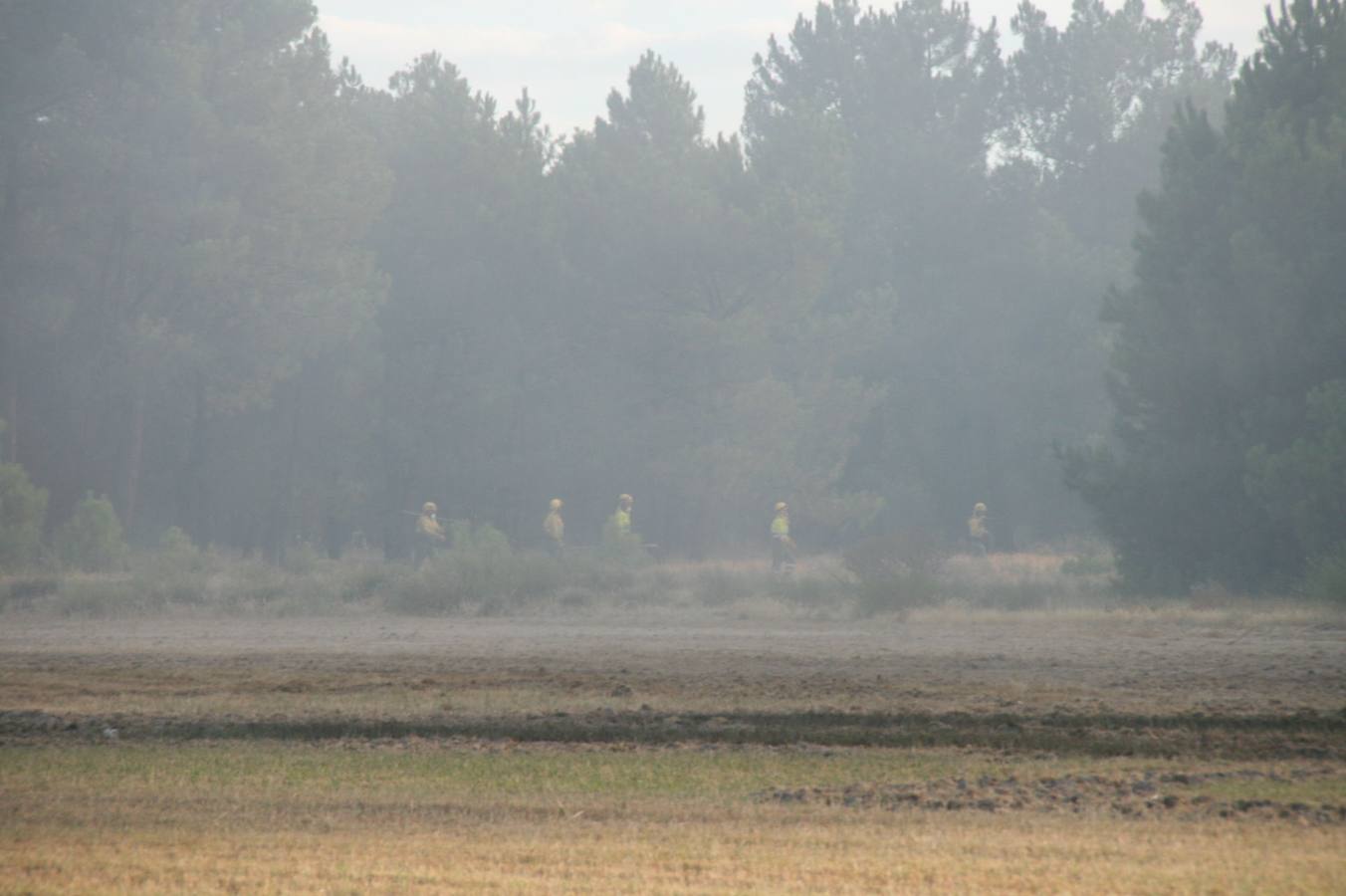 Incendio de Pinarejos