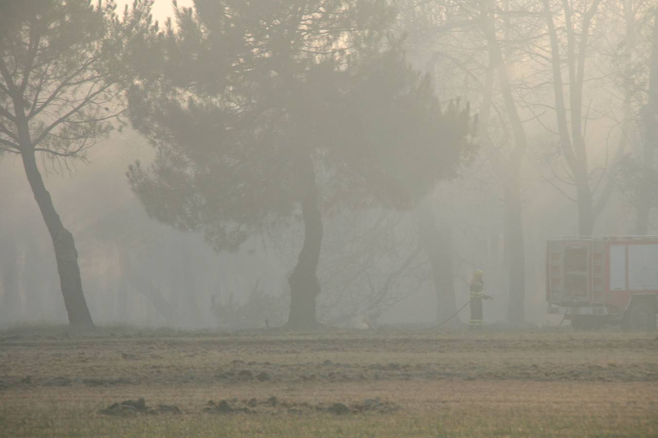 Incendio de Pinarejos