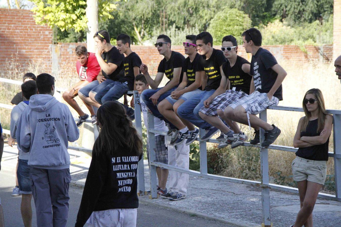 Novillo del Alba y capea en Campaspero