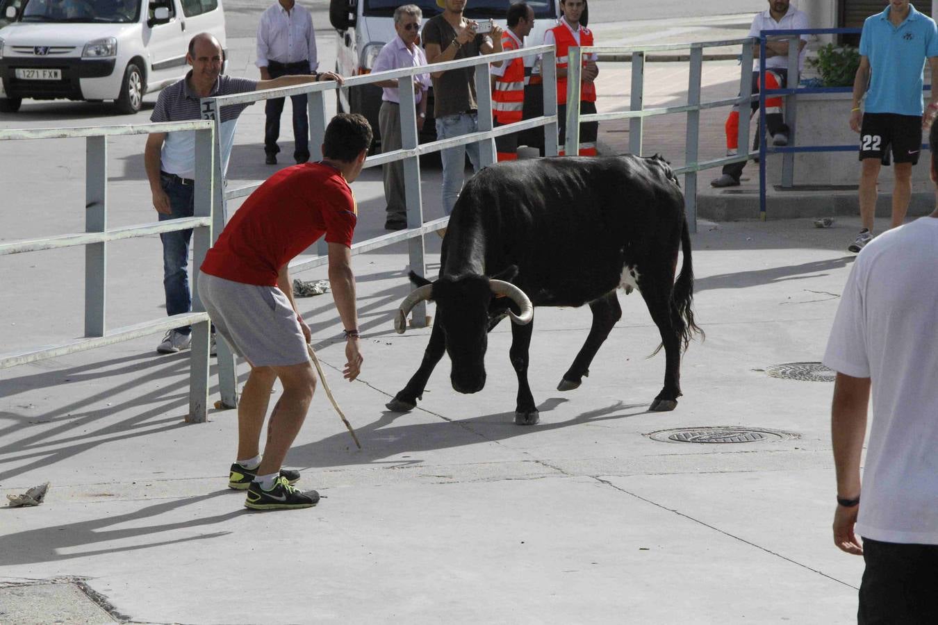 Novillo del Alba y capea en Campaspero
