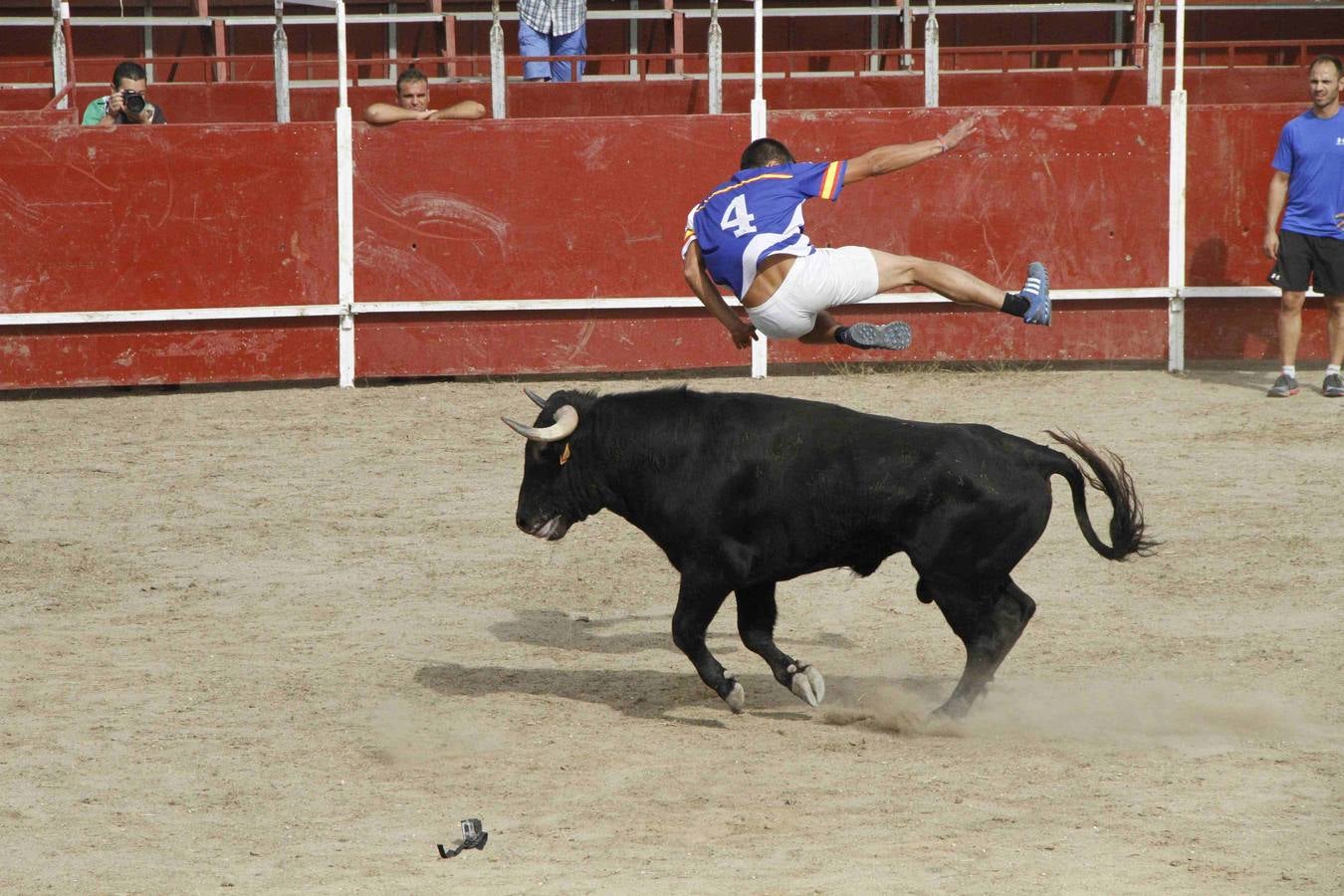 Novillo del Alba y capea en Campaspero
