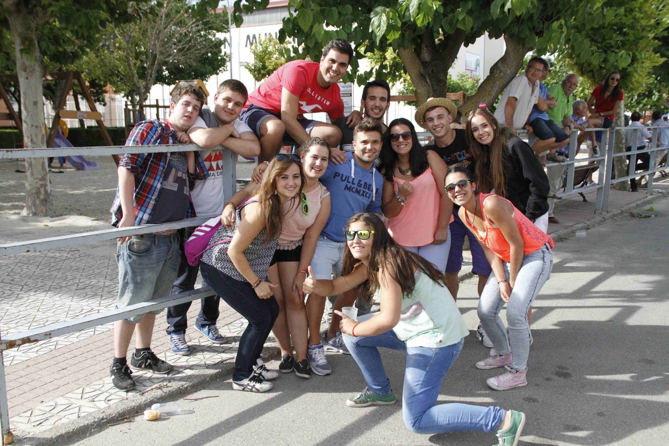 Novillo del Alba y capea en Campaspero