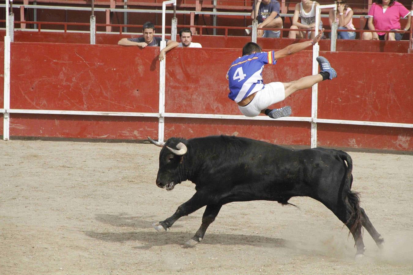 Novillo del Alba y capea en Campaspero