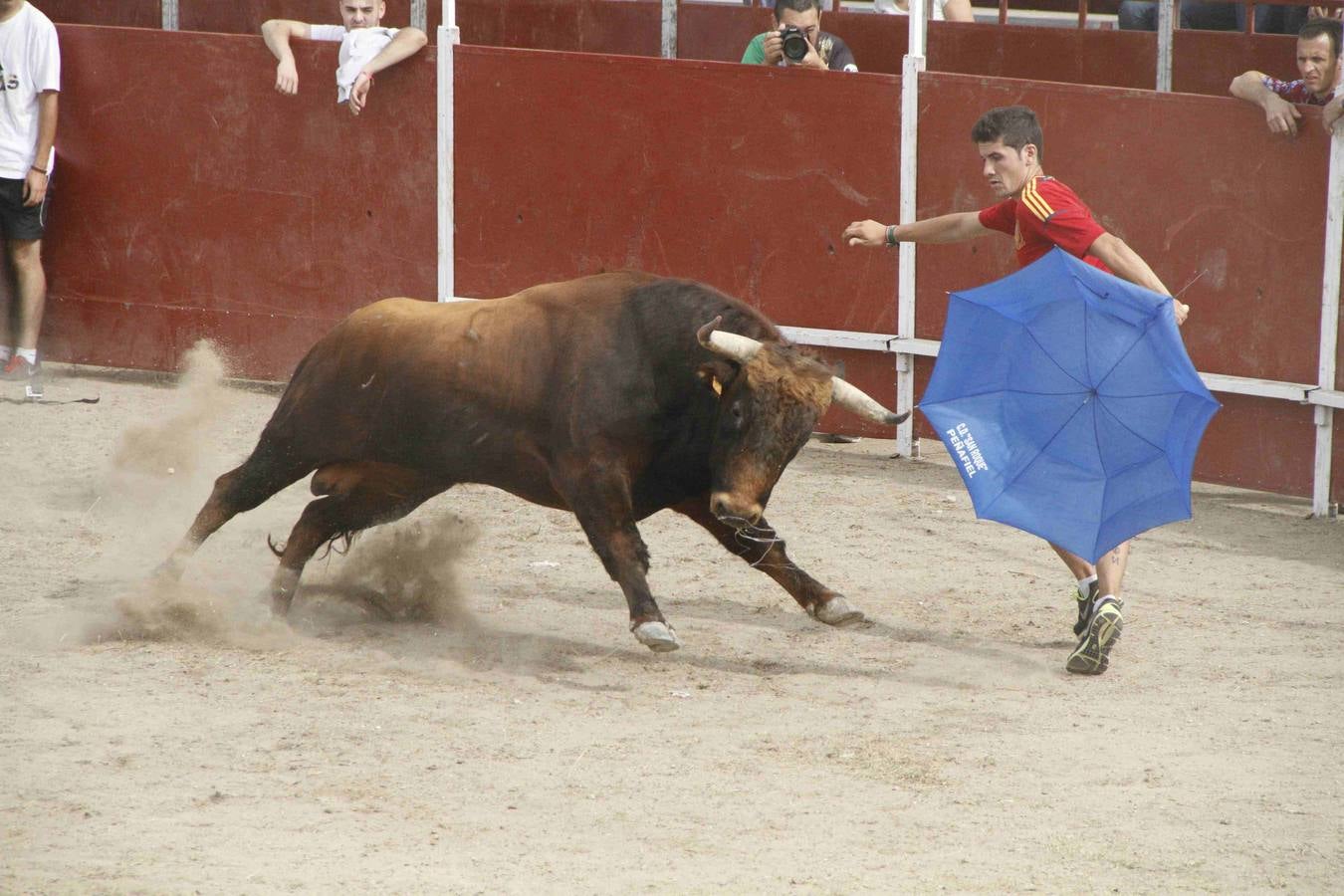 Novillo del Alba y capea en Campaspero