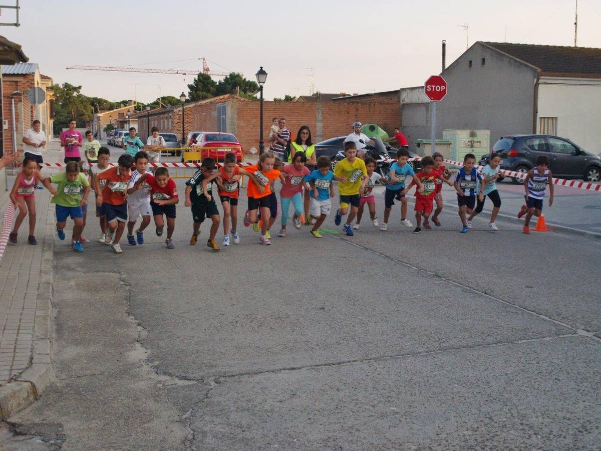 Milla Urbana de Pedrajas (1/2)