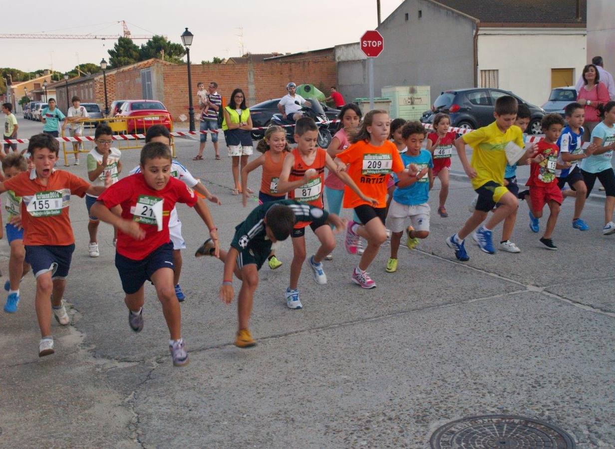 Milla Urbana de Pedrajas (1/2)