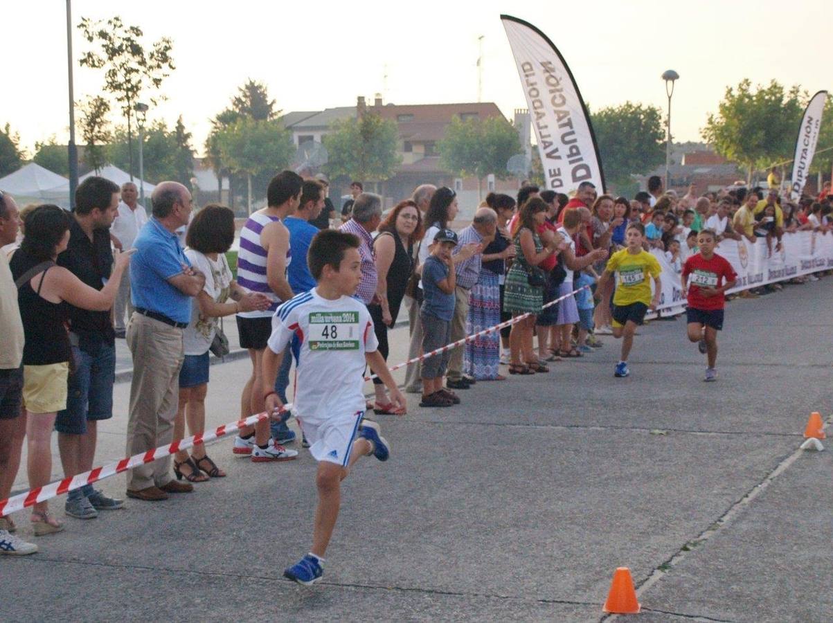 Milla Urbana de Pedrajas (1/2)