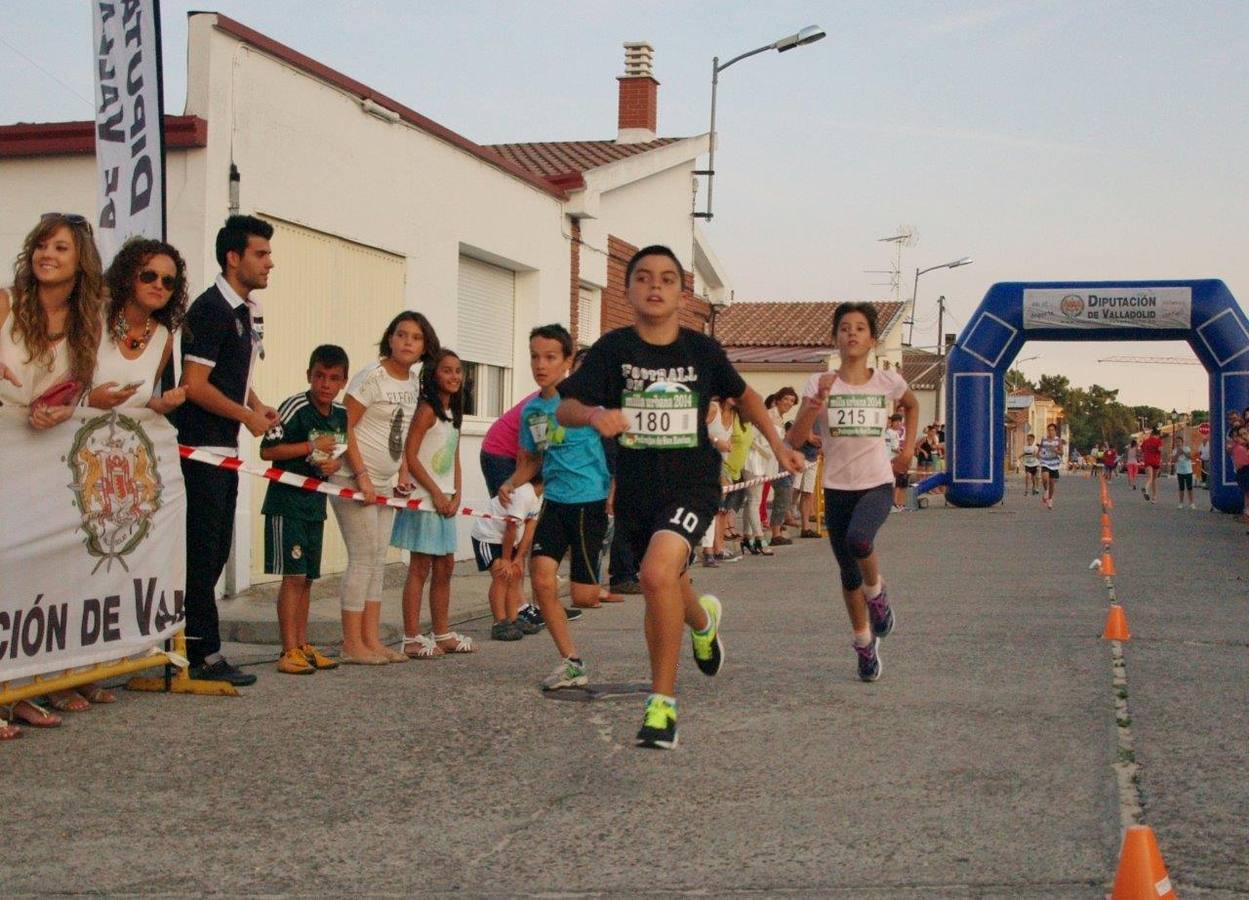 Milla Urbana de Pedrajas (1/2)