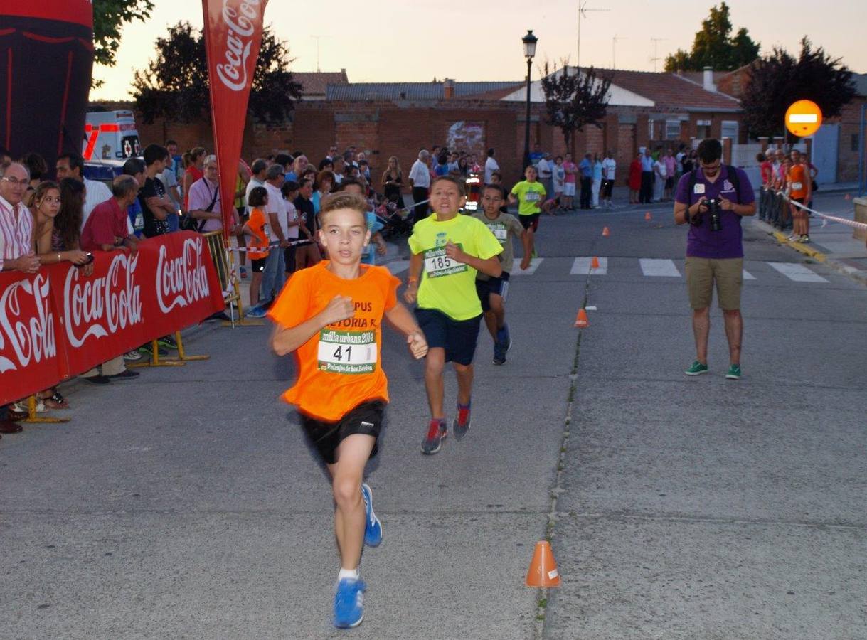 Milla Urbana de Pedrajas (1/2)
