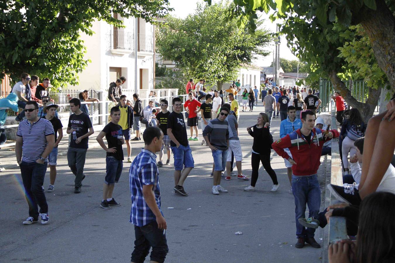 Encierro de la Vaca de la Afición y el Toro del Páramo en Campaspero. Valladolid