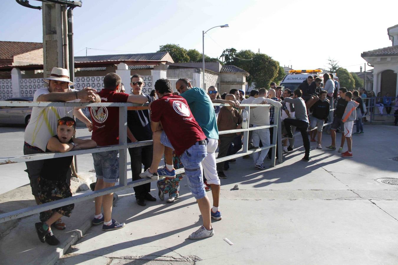 Encierro de la Vaca de la Afición y el Toro del Páramo en Campaspero. Valladolid
