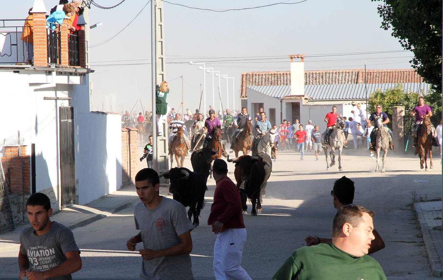 Primer encierro de las fiestas de Mozoncillo (Segovia)