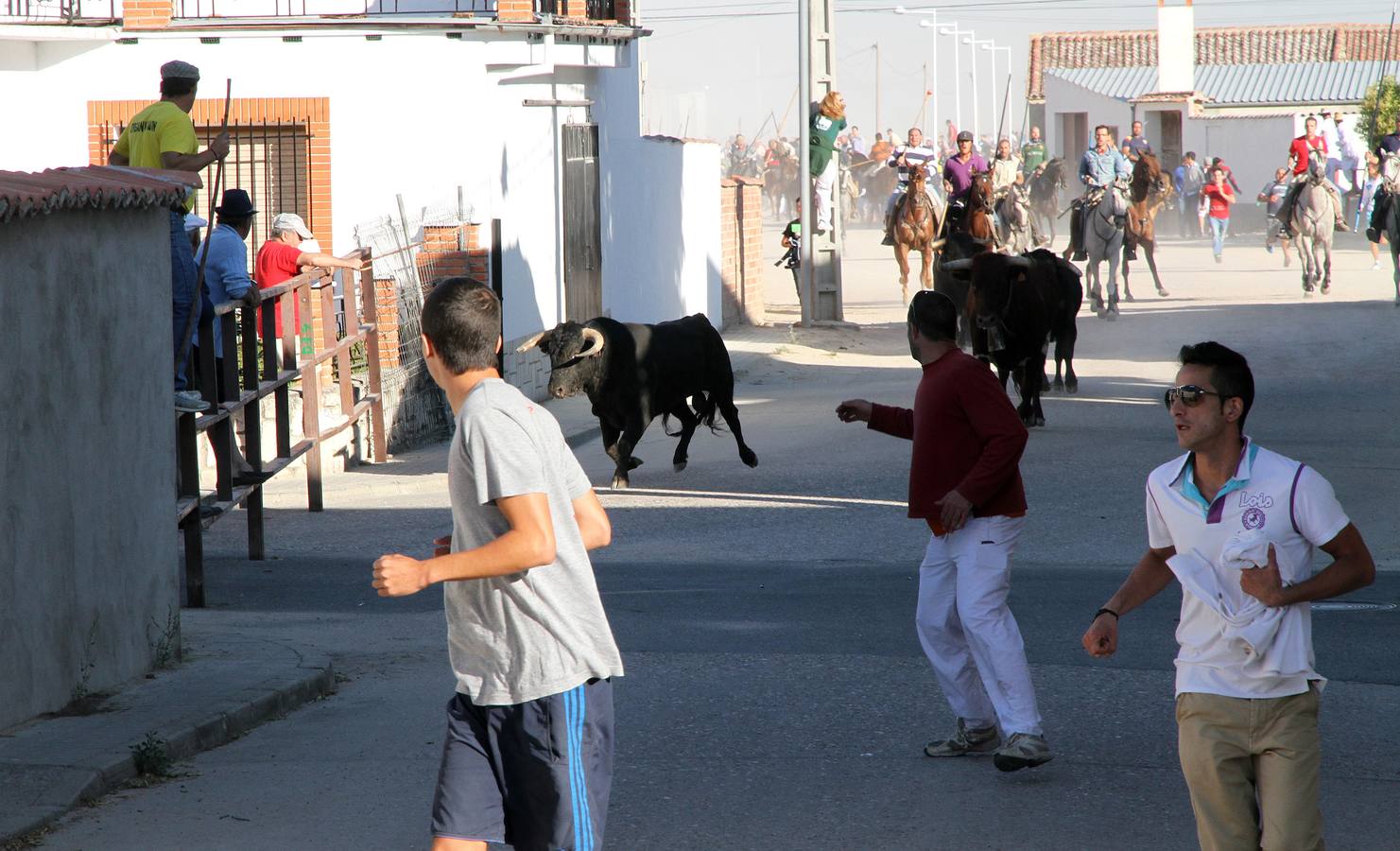 Primer encierro de las fiestas de Mozoncillo (Segovia)