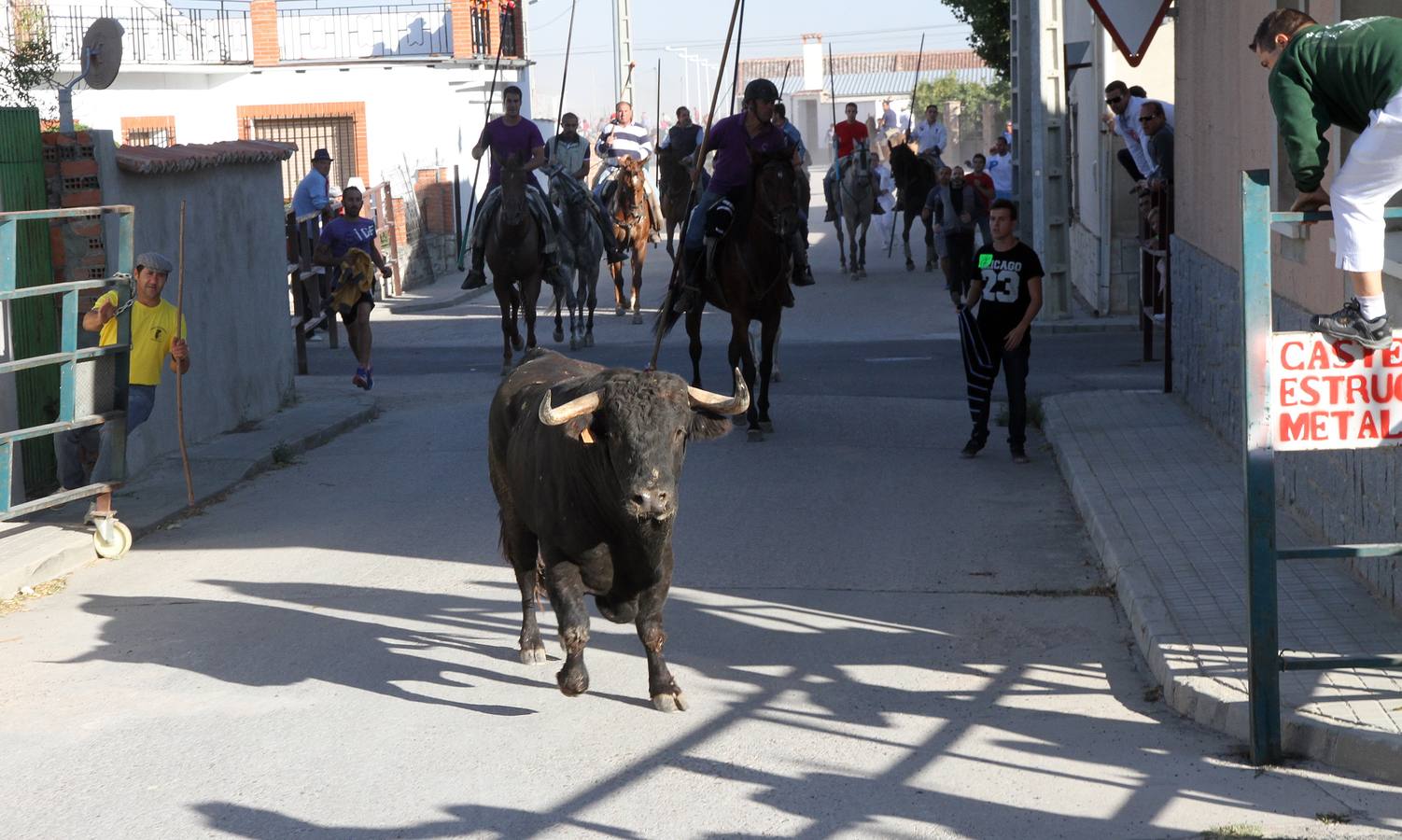 Primer encierro de las fiestas de Mozoncillo (Segovia)