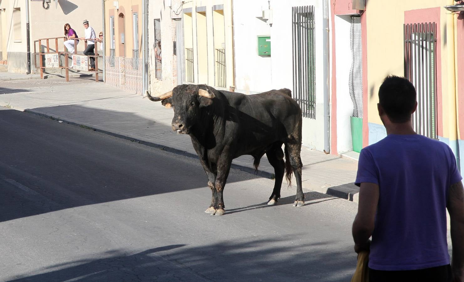 Primer encierro de las fiestas de Mozoncillo (Segovia)