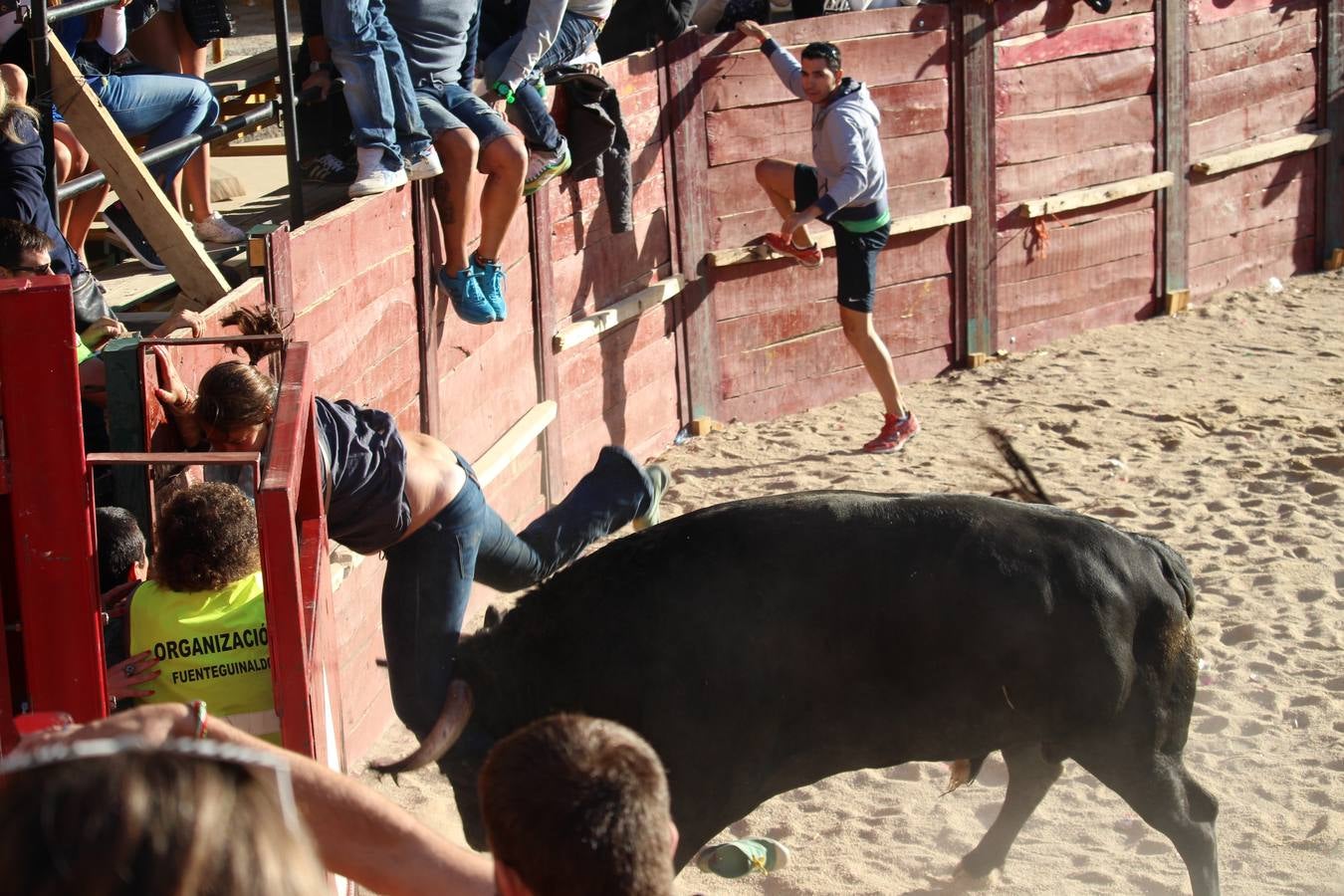 Una joven francesa herida grave al sufrir una cogida en Fuenteguinaldo